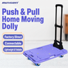 Portable Telescopic Plastic Hand Trolley - 3-Stage Extendable Cart